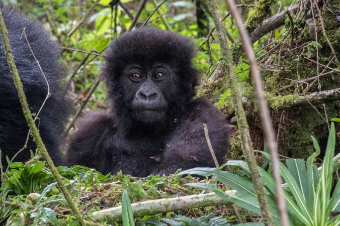 youngest baby (3 months old)