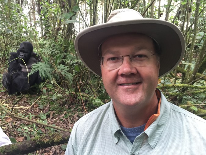 Charlie with Karebqro (silverback) in the background