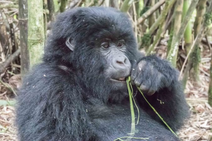 enjoying some breakfast