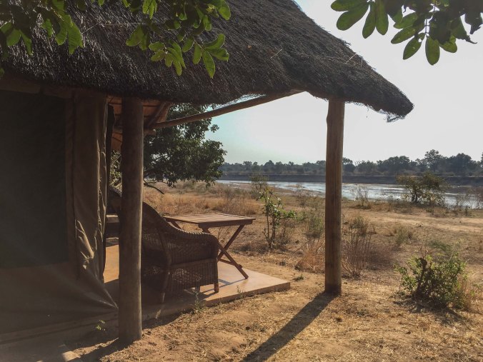 the view from Casey &amp; Tyler's safari tent