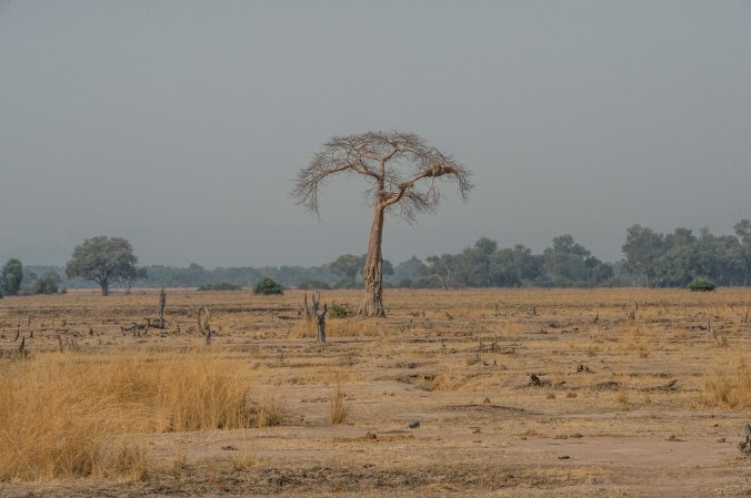 20160813_08-10_S Forbes_Flatdogs Day 4 morning drive-7579