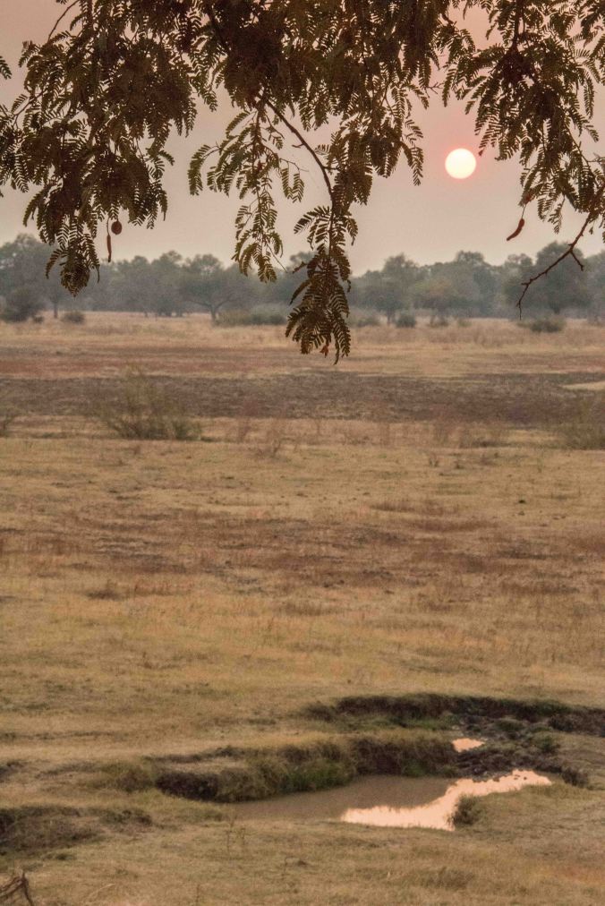 Sunrise over the watering hole in front of Puku Ridge
